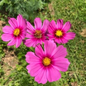 Meet your Posher, Catherine